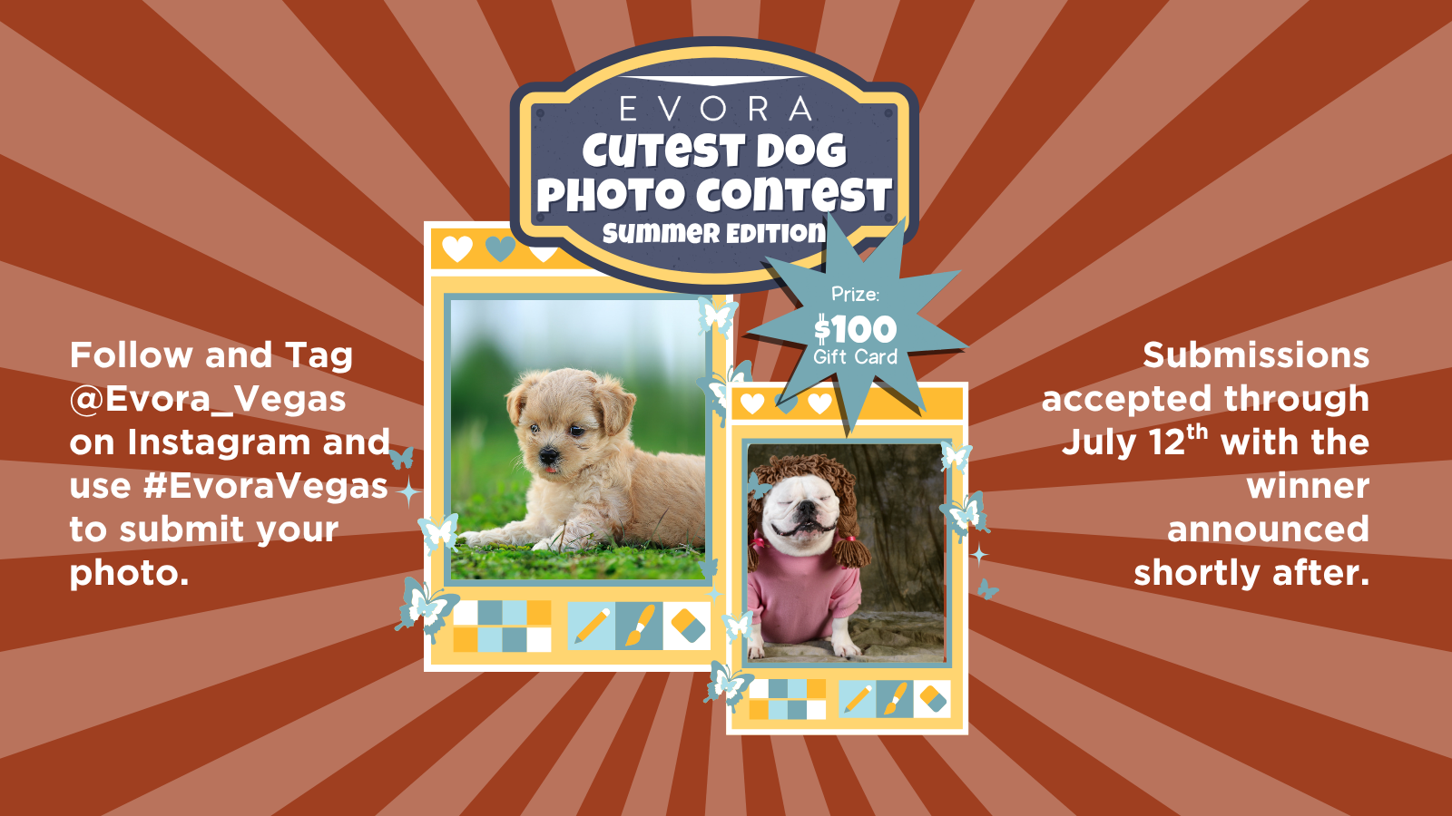 Dog photo contest flyer with prize details, entry instructions, and two cute dog photos on a retro sunburst background.