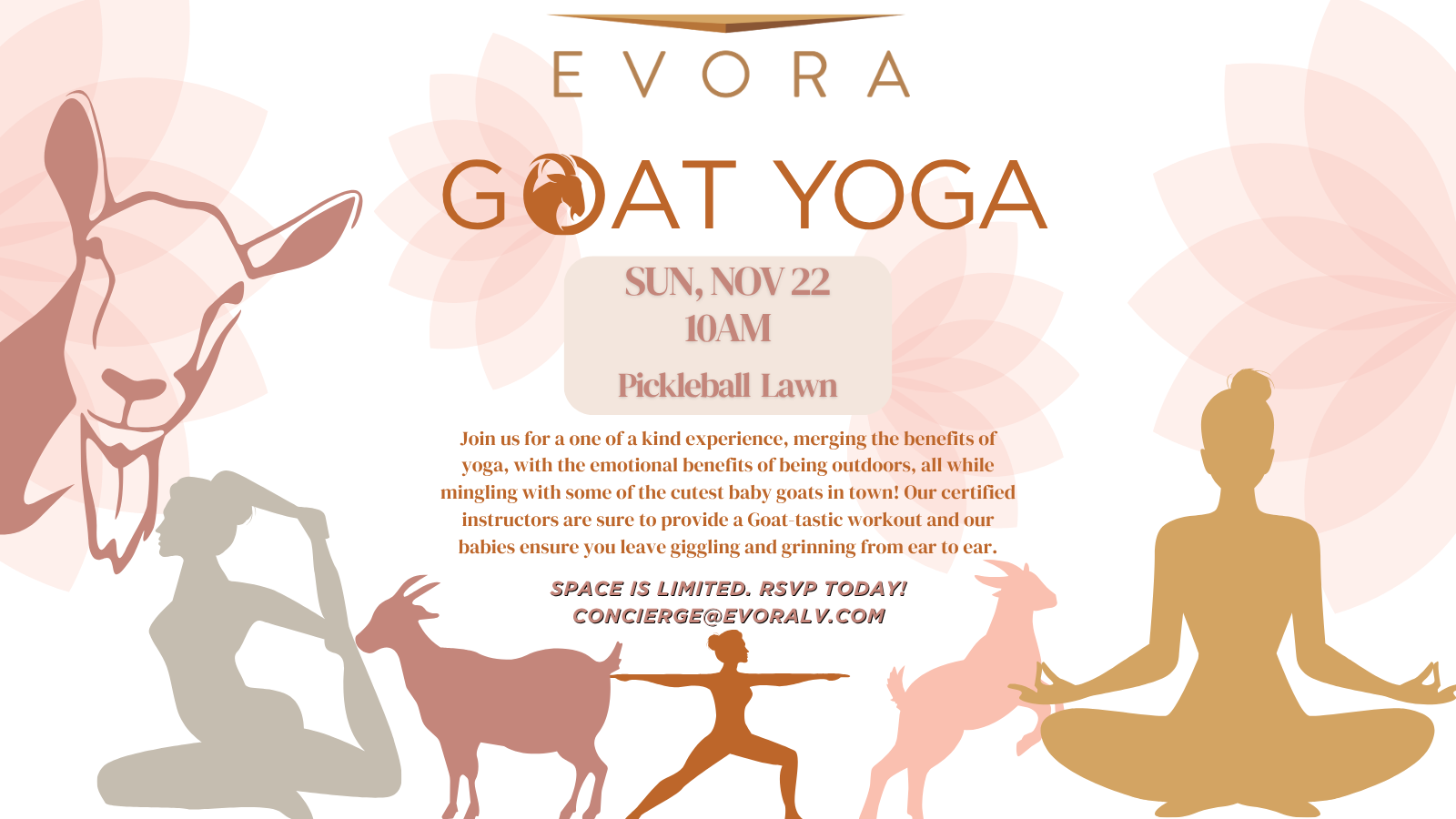 Flyer for Evora Goat Yoga on Sunday, November 22 at 10 AM on the Pickleball Lawn, with RSVP details.